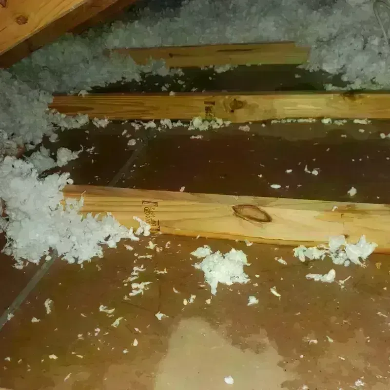 Attic Water Damage in West Pleasant View, CO